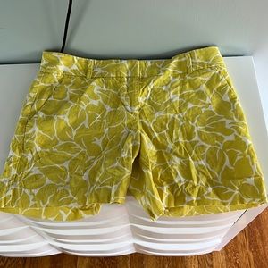 Loft shorts